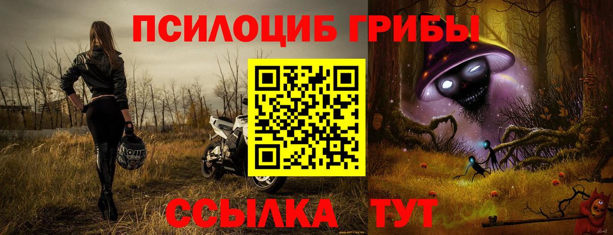 Псилоцибиновые грибы Psilocybine cubensis  Вход с VPN  Галлюциногенные грибы MAGIC MUSHROOMS  Салехард 